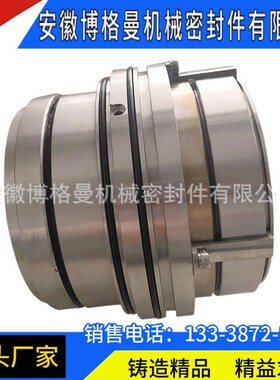 安徽博格曼LP-D-ST-D31TA-3A5/140DE机械密封 造纸压力筛机械密封