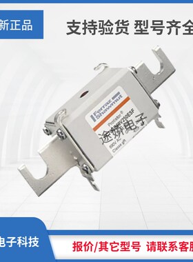 F301282/PC70GB69V100TF G301283/PIC70GB69V125TF罗兰熔断器现货