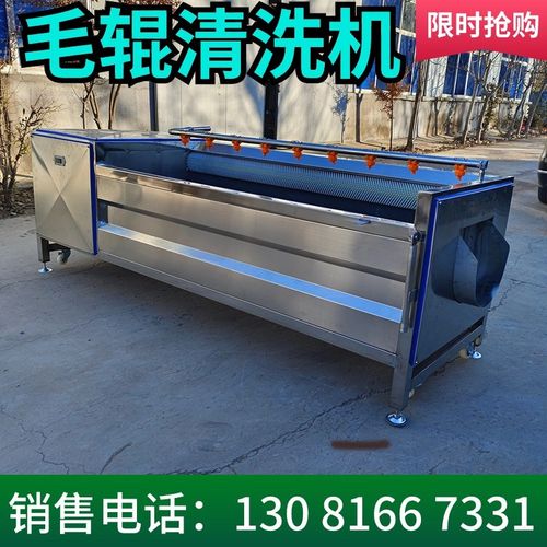 毛辊清洗去皮机花生洗泥红薯x马铃薯莲藕生姜马蹄萝卜毛刷清洗机