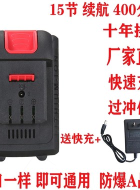 德国进口电动工具锂电池扳手通用20节大容量电链锯角磨机无线洗车