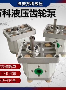 齿轮泵 液压油泵CBN-E310 E314 E306 E320 E325 E316淮安万科液压