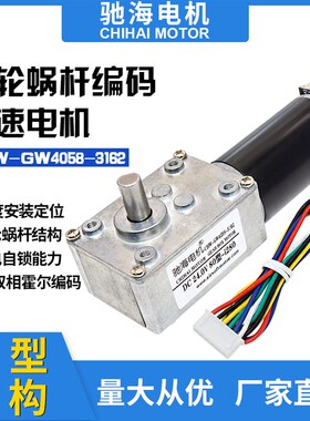 工厂直销 GW4058 3162ZY涡轮涡杆直流减速电机带磁性霍尔编码器