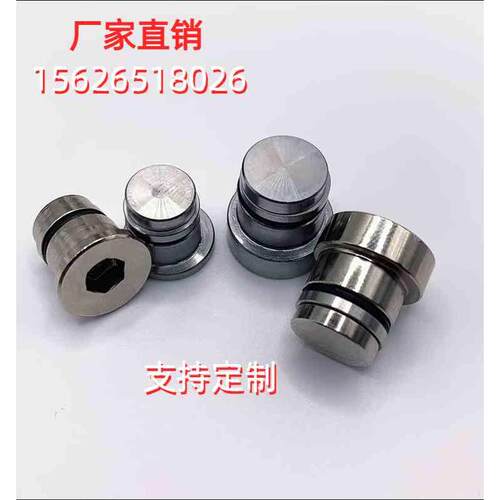 直线导轨偏心销 用定位销LLT3.5 LLT5 LLTS5 ICE11-T5不锈钢LLTA5