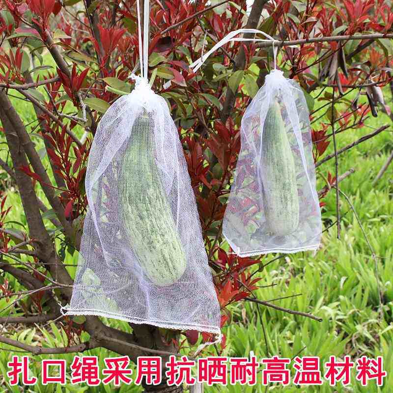 水果葡萄套袋防虫防鸟白色纱网袋子透气防果蝇套树苗枇杷果树网袋