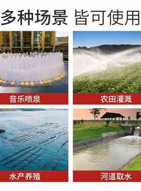 QSP不锈钢潜水喷泉泵QS65-10-3喷泉专用泵水景景观变频泵喷泉水泵