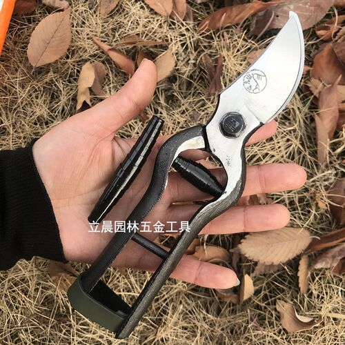 望儿山修枝剪果树剪刀园艺剪进口省力粗枝剪剪树枝专用剪刀花艺剪