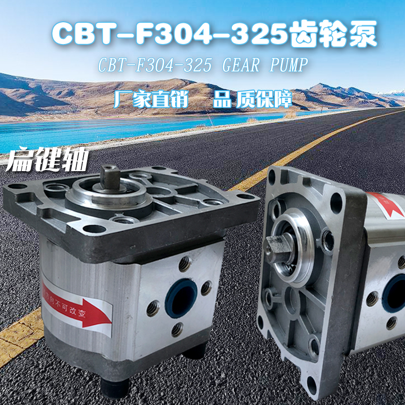 齿轮泵 液压油泵CBT-F310 CBT-F306 CBT-F320 CBT-F314 CBT-F316