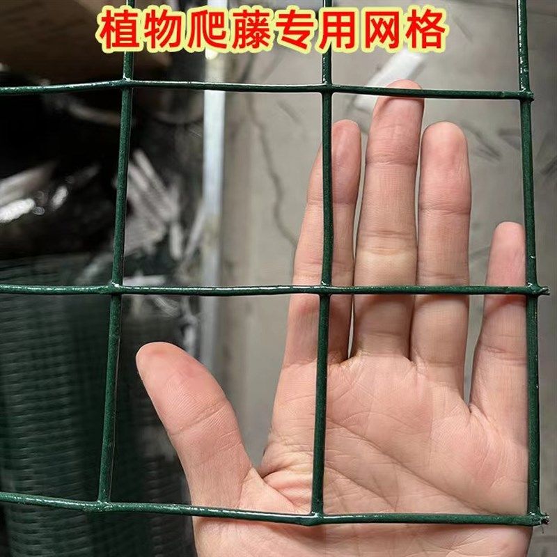 月季爬藤网加粗铁丝网面款花架网格架蔷薇花铁线莲藤曼植物攀爬网,珠宝/钻石/翡翠,翡翠裸石/蛋面,淘宝优惠券,粉丝福利购,淘宝优惠卷