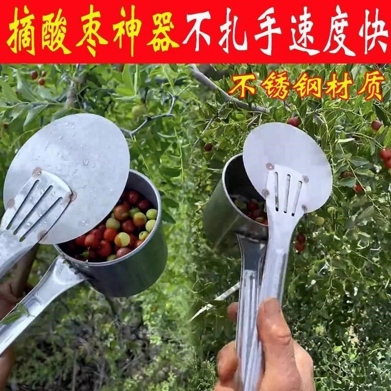 新款多功能摘酸枣神器不锈钢采果器高枝摘蓝莓杨梅野果山枣工具,珠宝/钻石/翡翠,翡翠裸石/蛋面,淘宝优惠券,粉丝福利购,淘宝优惠卷