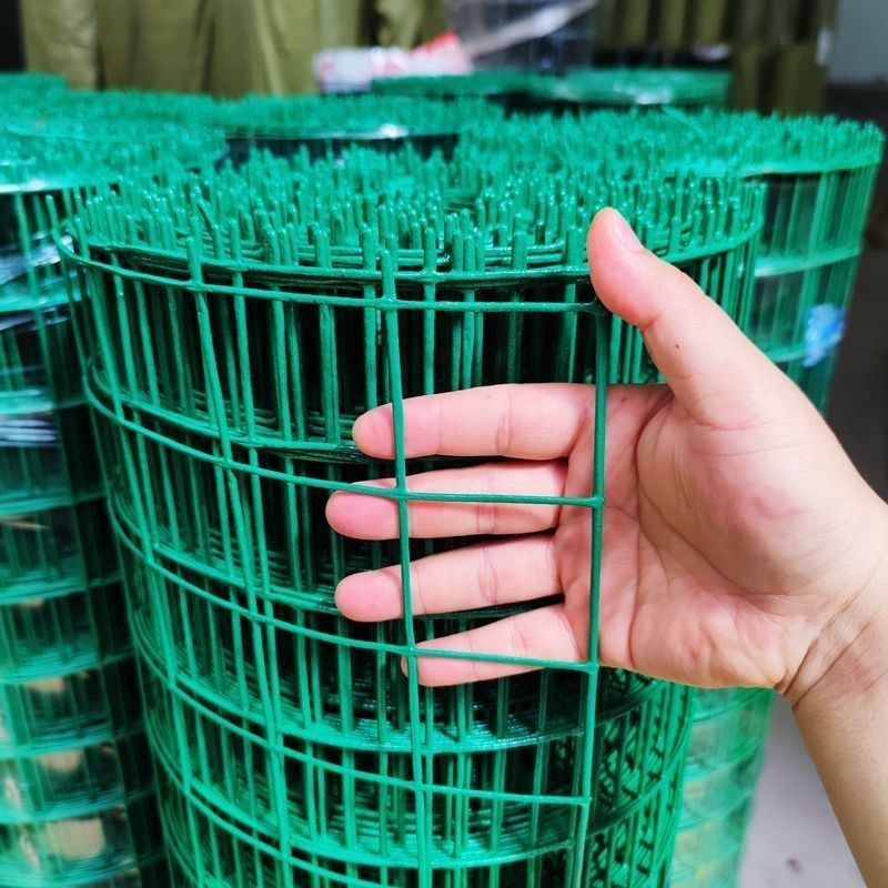 园艺植物爬藤网攀爬种植搭架丝瓜百香果豆角藤蔓花卉网农用葡萄棚,珠宝/钻石/翡翠,翡翠裸石/蛋面,淘宝优惠券,粉丝福利购,淘宝优惠卷