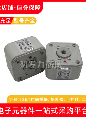 170M6338/6339/6340/6341/6342/6343全新熔断器现货