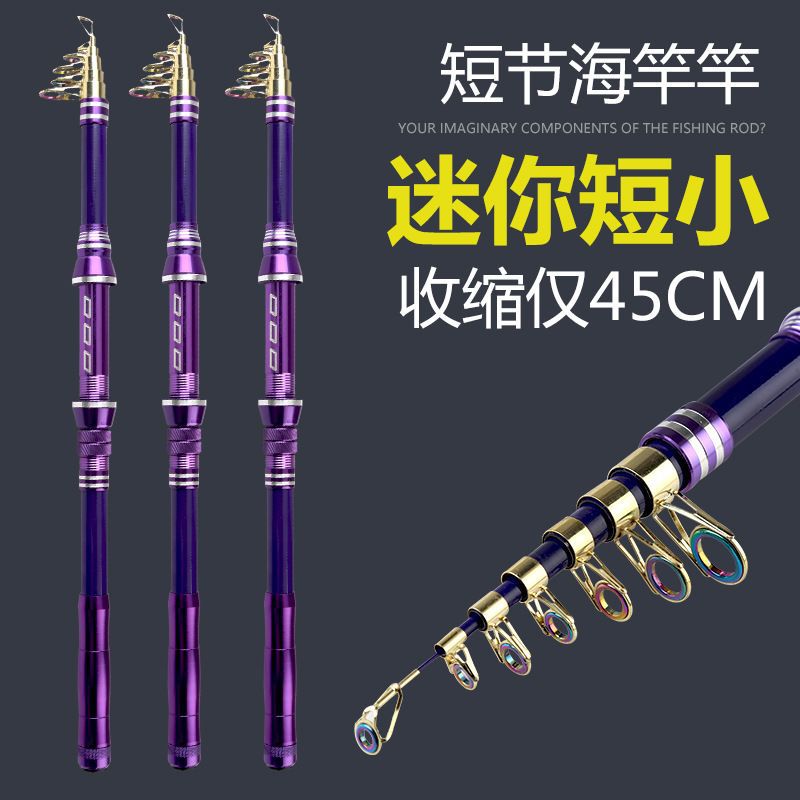 批发海竿 短节海钓竿1.8到3米超轻超硬超短抛竿远投竿 跨境渔具