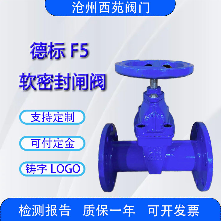 DN100软密封阀门 Z45X-16Q软密封暗杆闸阀 大口径法兰 软密封闸阀