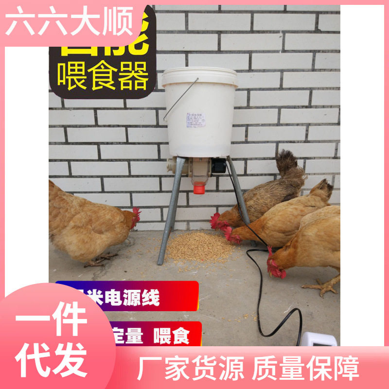 养鸡自动喂食器鸽子鸡鸭信鸽食槽定时全自动喂鸡鸽子用品用具