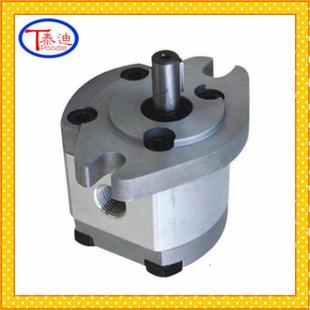 微型齿轮泵 F2齿轮泵 小排量齿轮泵 RGP