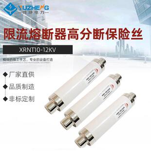 豫峥限流熔断器高分断保险丝XRNT10-12KV高压50A63A80A100A125A