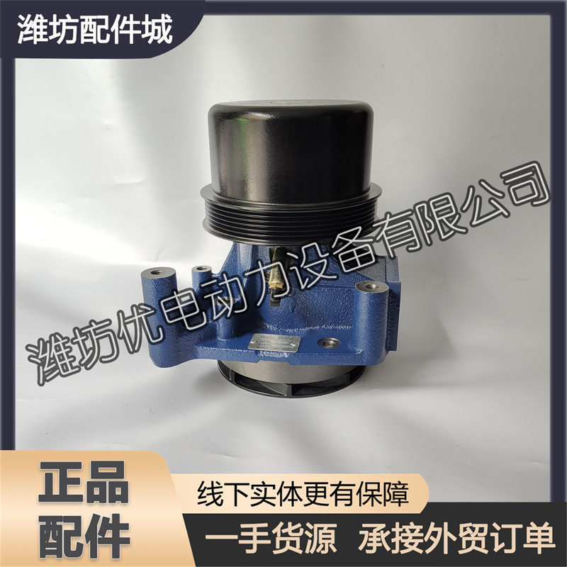 冷却淡水泵1001902391潍柴WD10斯太尔WD615船舶用WP10柴油发动机