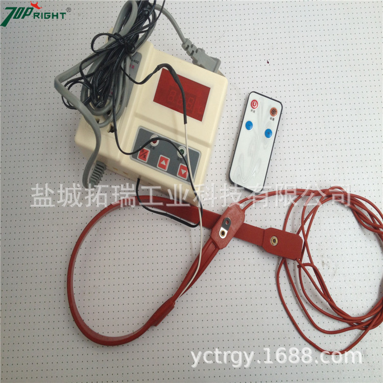 定做硅橡胶电热带带温控测温线