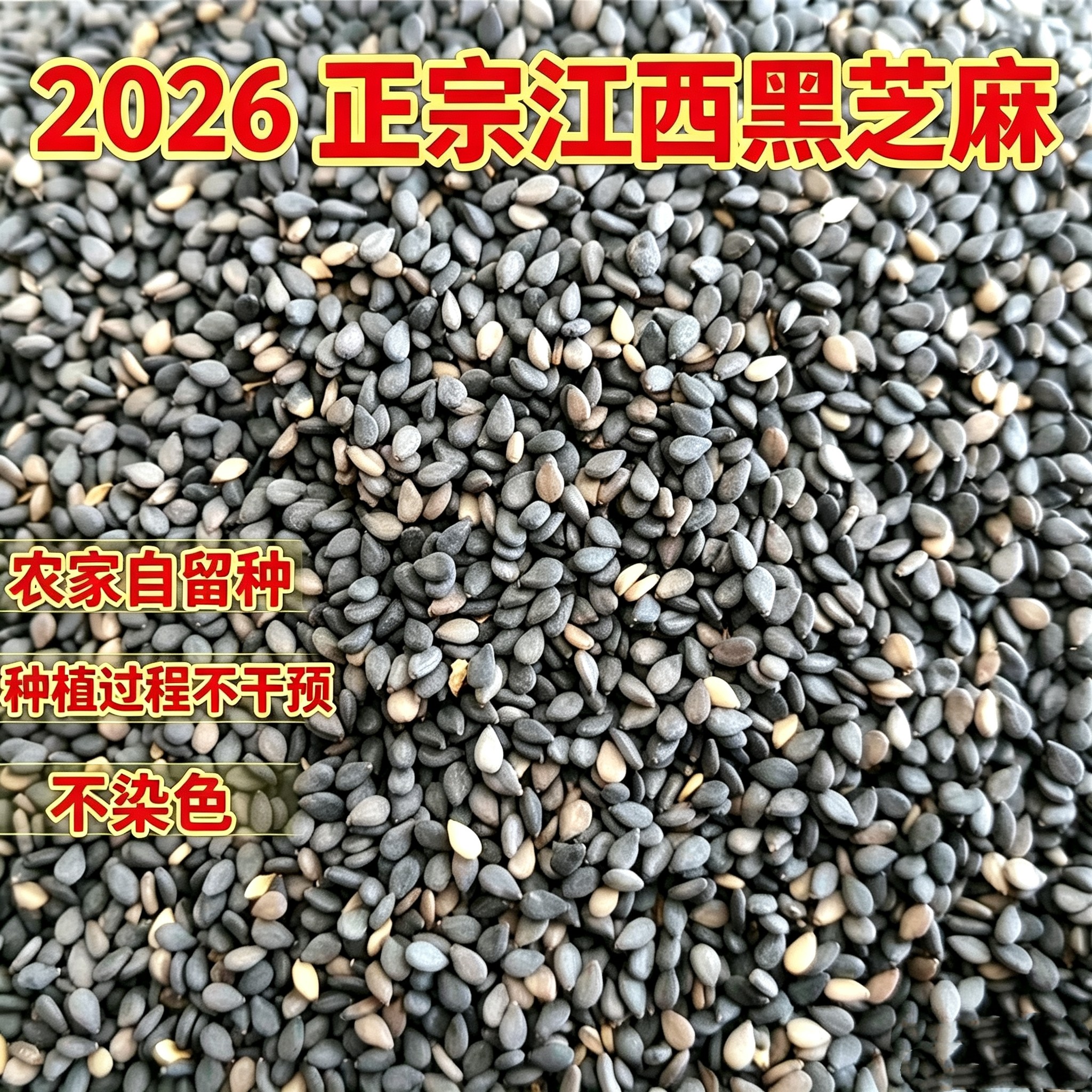 江西特产黑芝麻农家自种2026新货油麻不染色五谷杂粮煮粥打粉原料