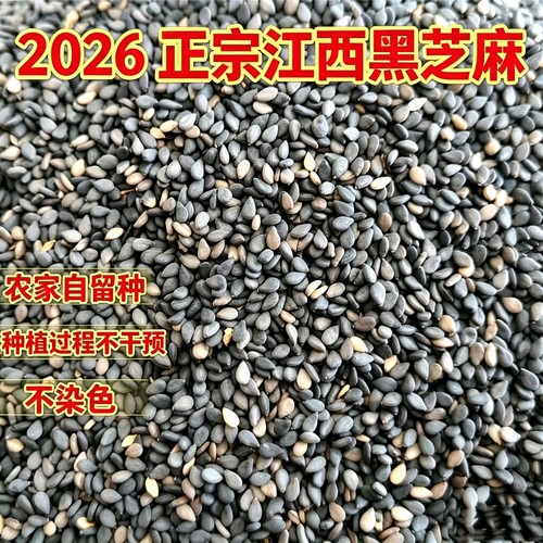 江西特产黑芝麻农家自种2026新货油麻不染色五谷杂粮煮粥打粉原料