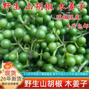 顺丰包邮新鲜野生木姜子现摘山胡椒干货木浆子火锅去腥调料山苍子