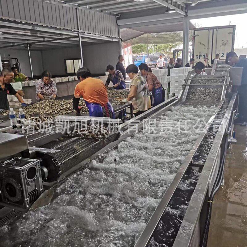 花哈清洗流水线 花甲蛤蝲挑选装袋机器 海鲜类自动鼓泡毛刷清洗机