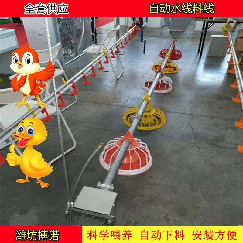 畜牧养殖设备自动料线水线山东料线自动上料机投料机鸡喂食器