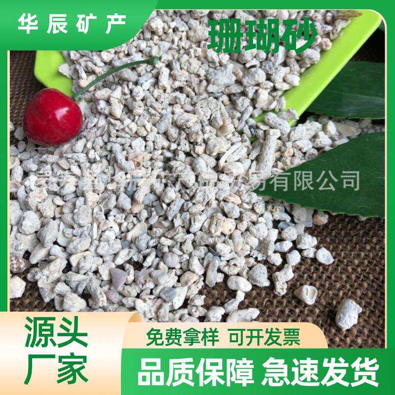 现货价优供应小珊瑚砂珊瑚骨水族海洋馆鱼缸鱼池水处理