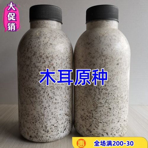 黑木耳原种二级种木头种植