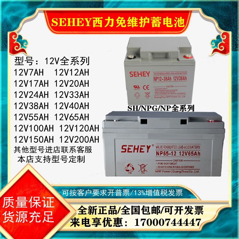 SEHEYSH40-12V7A12A17A20A24A38A40A55A65A100AH直流屏