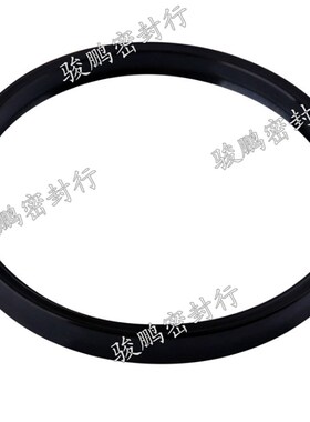 气缸活塞孔用V/Y型密封圈QYD200*8/200*184*16丁腈橡胶气动密封件