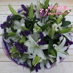 情人节生日鲜花25朵香水百合花束北京鲜花速递快递鲜花配送护士