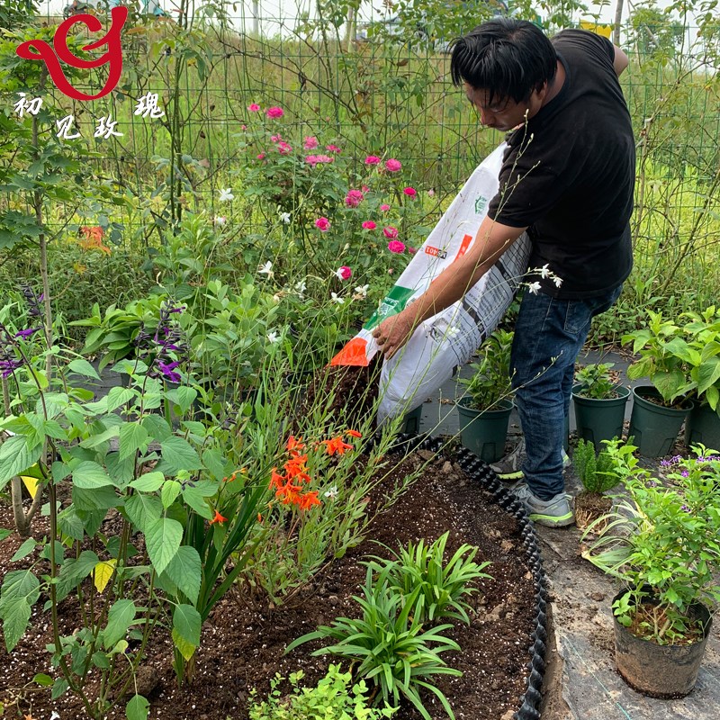 龙游初见玫瑰园月季专用营养土美植家绣球绿植通用泥炭配方土70升图片
