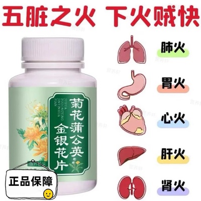 菊花蒲公英金银花片口腔异味口苦口臭去火清热清五脏之火菊花含片