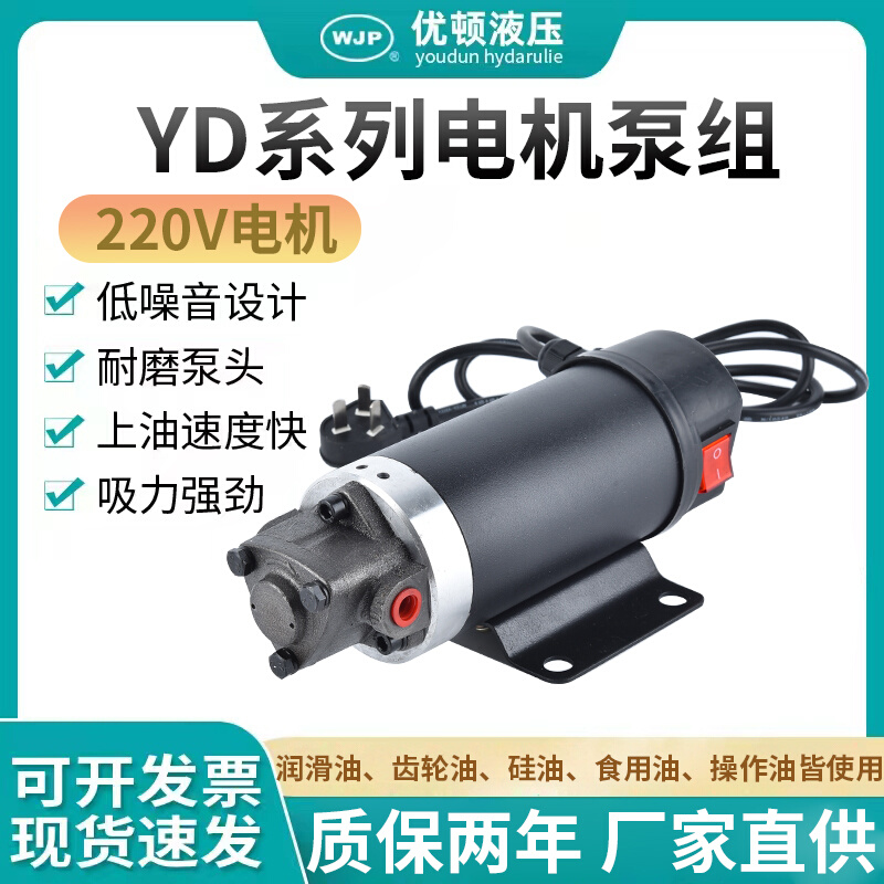 220V便携式静音抽油泵保养加油4s店抽油齿轮泵工业电动柴油齿轮泵