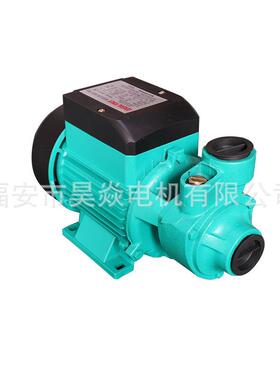 QB60旋涡循环管道增压单相井用抽水清水泵加压电动泵花园灌溉自吸