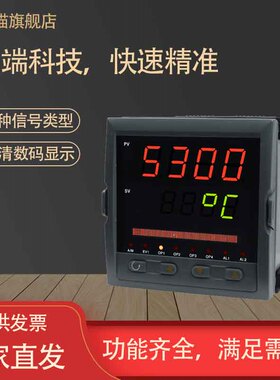 虹智能温控仪NHR-5310/20/30/1300/5500温控器数显温度控制器仪表