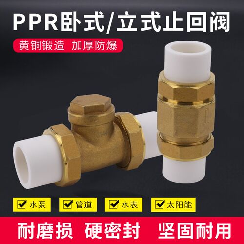 PPR止回阀双活接单向阀止逆阀20 4分 25 6分 32 1寸铜阀门开关