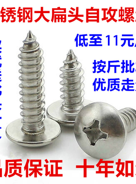 不锈钢大扁头自攻螺丝钉十字蘑菇头 M3 M4 M5自攻螺丝钉木螺钉