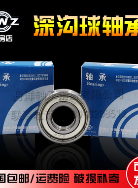 瓦房店特大铜保薄壁滚珠轴承 619/900 619/530 619/560 619/600M
