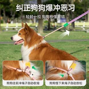 快速发货狗狗牵引绳防爆冲p绳大型犬防挣脱M中小型犬P链拴狗绳套