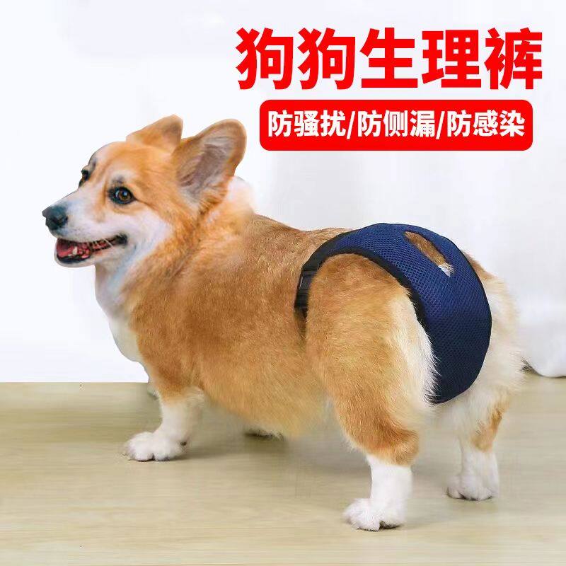 宠物狗生理裤柯基狗内裤月经裤泰迪博美小狗防骚扰姨妈裤大姨妈裤