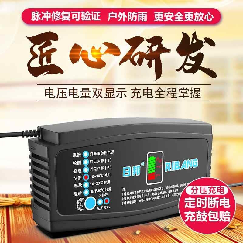 电动车电瓶充电6器48V20AH48V12AH60V20AH4V72V20A爱玛新日久立马 电动车/配件/交通工具 电动车充电器 原图主图