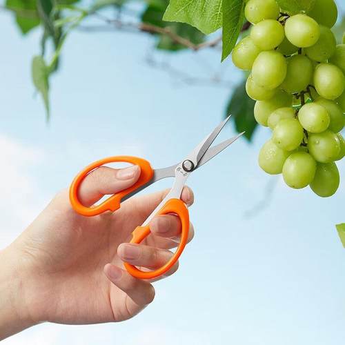 剪刀家用修果剪翘头修枝叶剪稀果葡萄剪子修枝剪花艺弯头剪