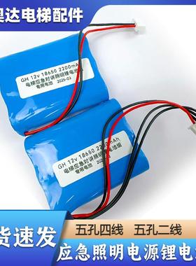 德凌/富士通电梯RKP/应急照明对讲电源锂电池组mAhV