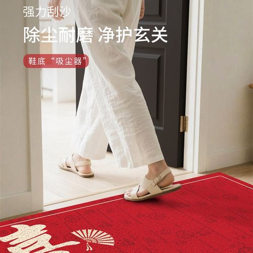 丝圈入户门地垫玄关大门进门脚防滑耐脏除尘红色喜庆地毯门毯门外