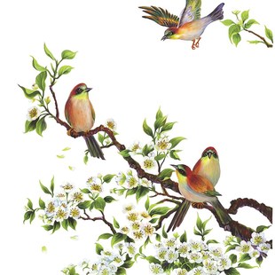 新中式工手绘花鸟装饰画水移画贴纸玄关柜子餐厅桌子客厅家具贴画