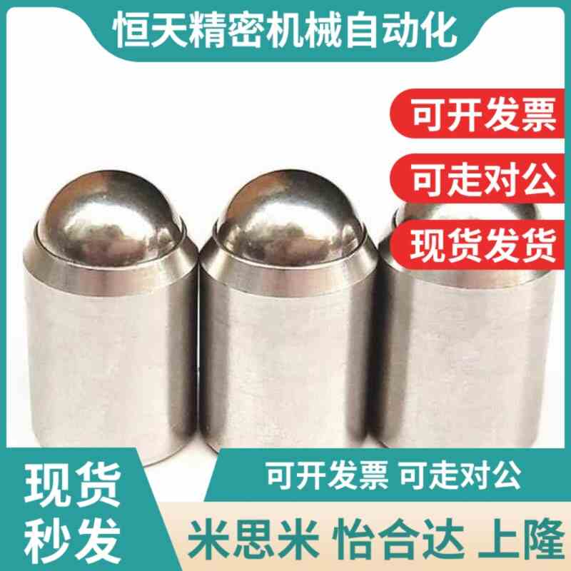 替代ZAL01-D4/D5/D6/D8/D1A0 ZAL02 定位珠 不锈钢压入式球头柱塞