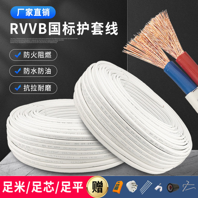 护套线2芯RVVB1.5/2.5/4/6平方家用户外防水高楼层充电源线软电线