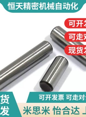 ISO2338/GB119.1/A1/A2不锈钢/m6精度P正公差圆柱销定位销平行销